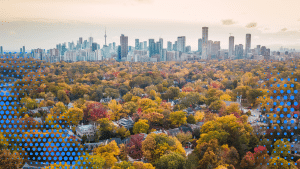 Toronto Skyline with residential neighborhood in foreground
